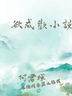 欲成欢小说