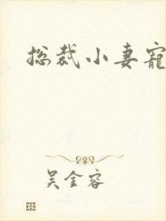 总裁小妻宠上天