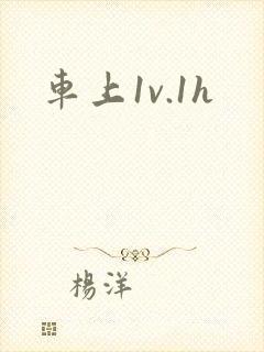 车上1v.1h