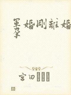 军婚刚离婚就怀孕