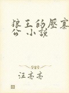 狼王的压寨小相公 小说