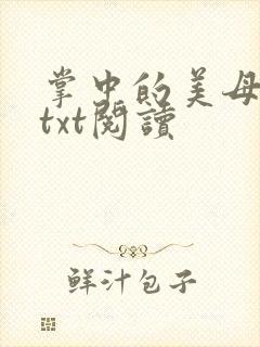 掌中的美母版主txt阅读