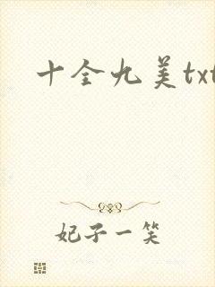 十全九美txt