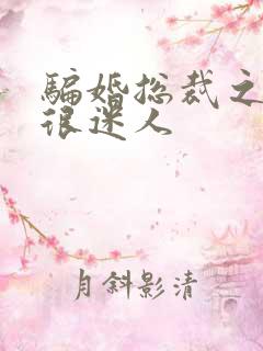 骗婚总裁之老婆很迷人