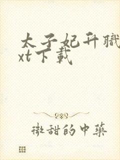 太子妃升职记txt下载