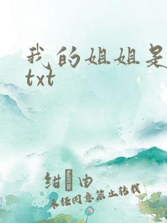 我的姐姐是美女txt