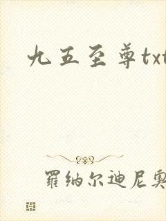九五至尊txt
