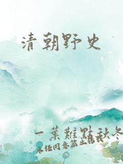 清朝野史