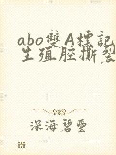 abo双A标记生殖腔撕裂