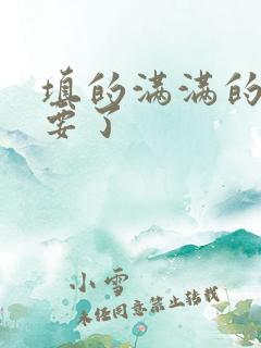 填的满满的 不要了