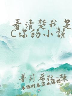 看清楚我是怎么C你的小说
