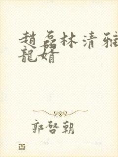 赵磊林清雅上门龙婿