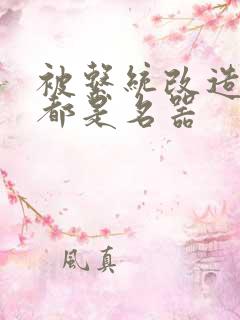 被系统改造全身都是名器