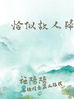 恰似故人归小说