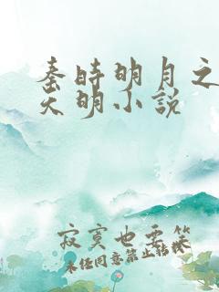 秦时明月之夜尽天明小说