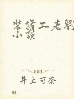 装修工老刘林雪小说