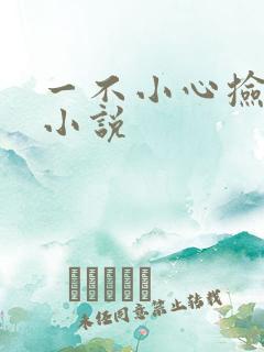 一不小心捡到爱小说