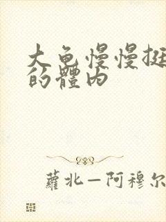 大龟慢慢挺进我的体内