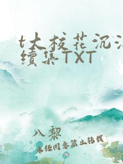 t大校花沉浮录续集TXT