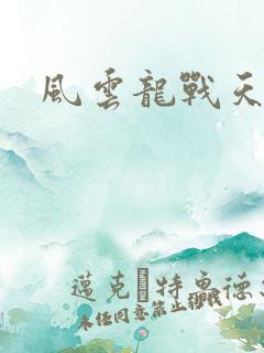 风云龙战天下