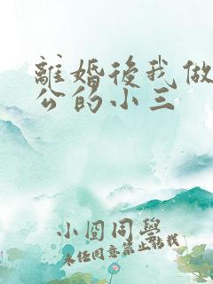 离婚后我做了老公的小三