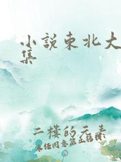 小说东北大炕全集