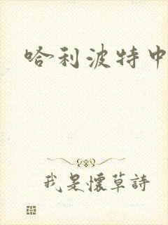 哈利波特中文版