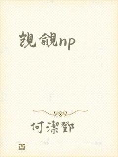 觊觎np