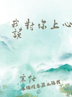 我对你上心了小说