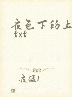 夜色下的上海滩 txt