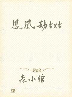 凤凰劫txt