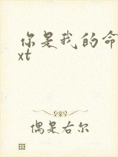 你是我的命运txt