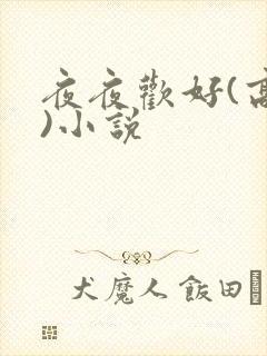 夜夜欢好(高h)小说