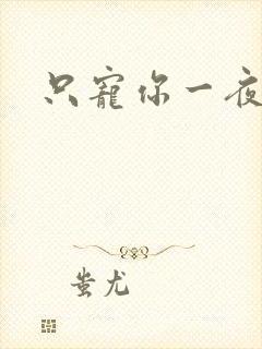 只宠你一夜