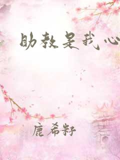 助教是我心尖宠