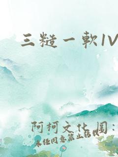 三糙一软1V3