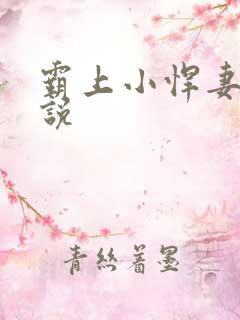 霸上小悍妻 小说
