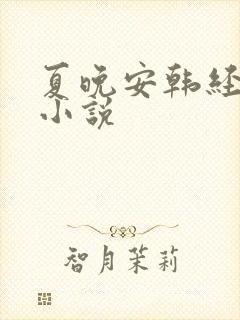 夏晚安韩经年的小说