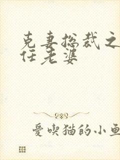 克妻总裁之第七任老婆