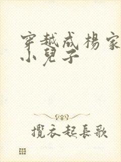 穿越成杨家将最小儿子