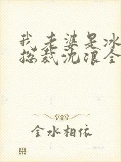 我老婆是冰山女总裁沈浪全集