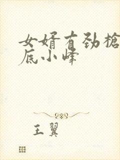 女婿有劲枪枪到底小峰