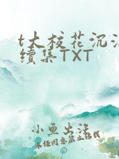 t大校花沉浮录续集TXT