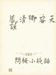 凤清卿容天凌小说