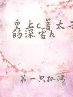 皇上c着太子妃的深处h