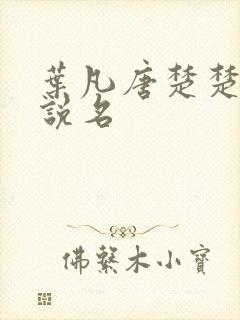 叶凡唐楚楚的小说名