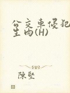 公交车侵犯小男生肉(H)