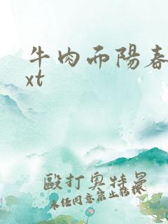 牛肉面阳春面txt