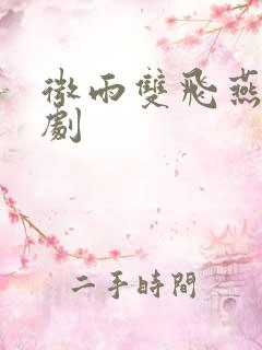 微雨双飞燕电视剧