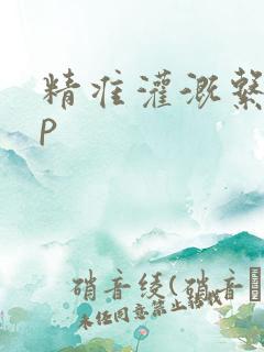 精准灌溉系统hp